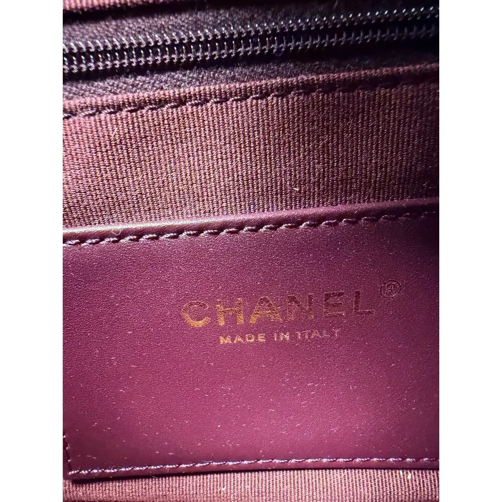 Chanel Small Camera Case in Burgundy